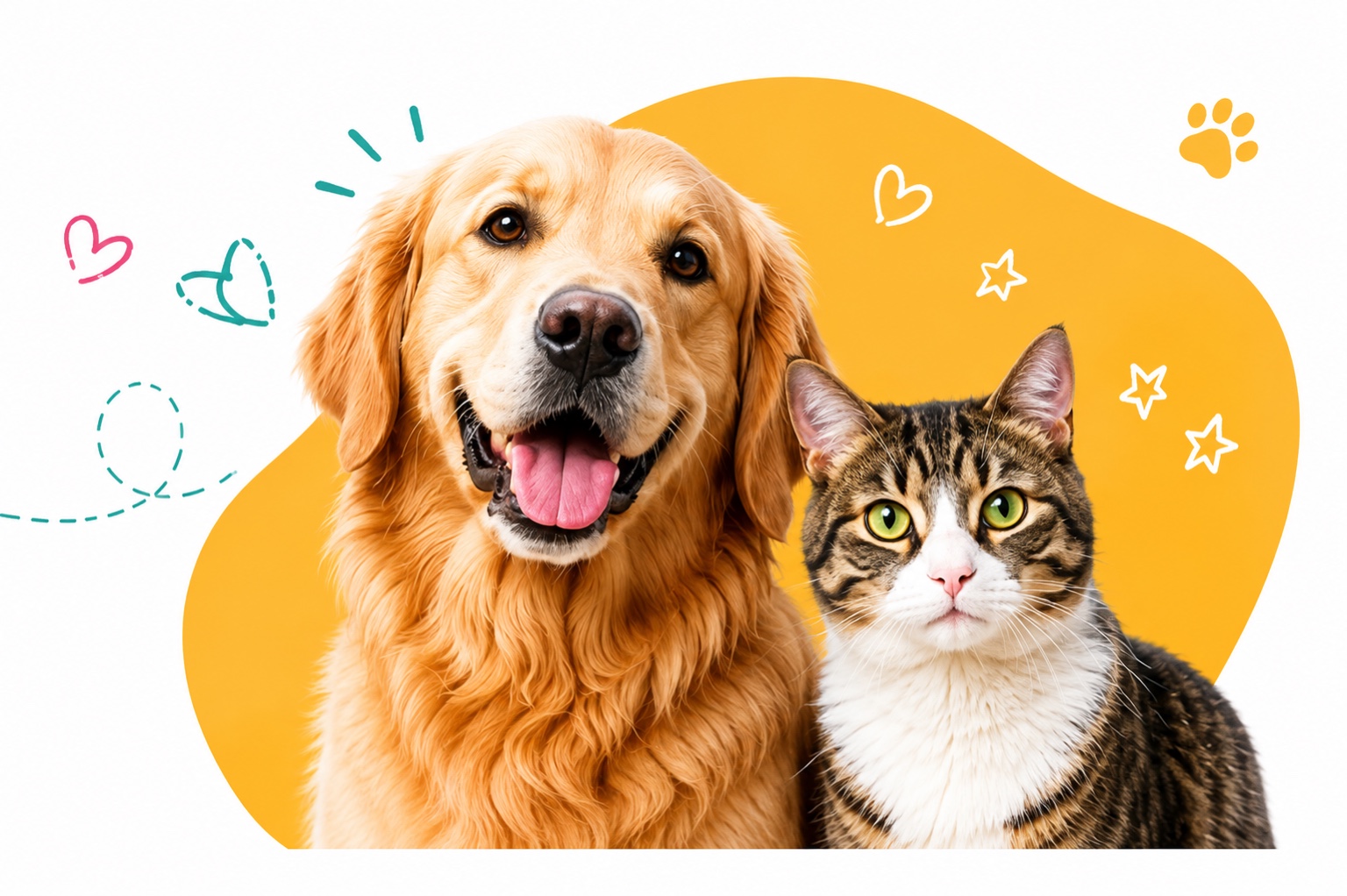 Cane e gatto
